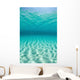Bright Sunlight Ripples across Wall Decal