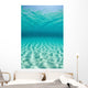 Bright Sunlight Ripples across Wall Decal
