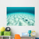 Starfish Brightly Lit Seafloor Wall Decal Design 3