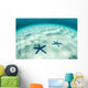 Starfish Brightly Lit Seafloor Wall Decal Design 2