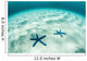 Starfish Brightly Lit Seafloor Wall Decal Design 2