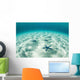 Starfish Brightly Lit Seafloor Wall Decal Design 1