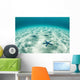 Starfish Brightly Lit Seafloor Wall Decal Design 1