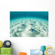 Starfish Brightly Lit Seafloor Wall Decal Design 1