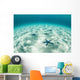 Starfish Brightly Lit Seafloor Wall Decal Design 1