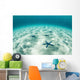 Starfish Brightly Lit Seafloor Wall Decal Design 1