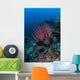 Colony Sea Whips Grows Wall Decal