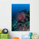Colony Sea Whips Grows Wall Decal