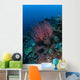 Colony Sea Whips Grows Wall Decal