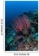 Colony Sea Whips Grows Wall Decal