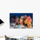 Soft Corals and Invertebrates Wall Decal Design 2