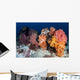 Soft Corals and Invertebrates Wall Decal Design 2