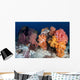 Soft Corals and Invertebrates Wall Decal Design 2