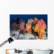 Soft Corals and Invertebrates Wall Decal Design 2