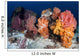 Soft Corals and Invertebrates Wall Decal Design 2