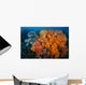 Soft Corals and Invertebrates Wall Decal Design 1