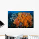 Soft Corals and Invertebrates Wall Decal Design 1