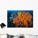 Soft Corals and Invertebrates Wall Decal Design 1