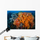 Soft Corals and Invertebrates Wall Decal Design 1