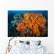 Soft Corals and Invertebrates Wall Decal Design 1