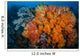 Soft Corals and Invertebrates Wall Decal Design 1