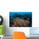 Strong Current Sweeps across Wall Decal
