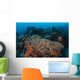 Strong Current Sweeps across Wall Decal