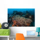 Strong Current Sweeps across Wall Decal