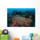 Strong Current Sweeps across Wall Decal
