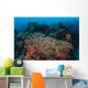 Strong Current Sweeps across Wall Decal