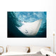 Manta Ray Swims through Wall Decal Design 2