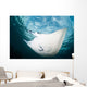 Manta Ray Swims through Wall Decal Design 2