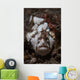 Painted Frogfish Blends into Wall Decal