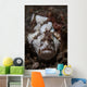Painted Frogfish Blends into Wall Decal