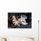 Pair Colorful Nudibranch Crawling Wall Decal