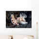 Pair Colorful Nudibranch Crawling Wall Decal