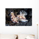 Pair Colorful Nudibranch Crawling Wall Decal