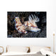 Pair Colorful Nudibranch Crawling Wall Decal