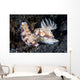 Pair Colorful Nudibranch Crawling Wall Decal