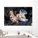 Pair Colorful Nudibranch Crawling Wall Decal