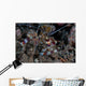 Banded Coral Shrimp Crawls Wall Decal