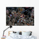 Banded Coral Shrimp Crawls Wall Decal