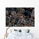 Banded Coral Shrimp Crawls Wall Decal
