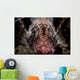 Shortfin Lionfish Stares into Wall Decal