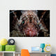 Shortfin Lionfish Stares into Wall Decal