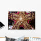Close-up Unidentified Sea Star Wall Decal