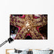 Close-up Unidentified Sea Star Wall Decal