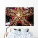 Close-up Unidentified Sea Star Wall Decal