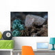 Pygmy Cuttlefish Blends into Wall Decal