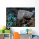Pygmy Cuttlefish Blends into Wall Decal
